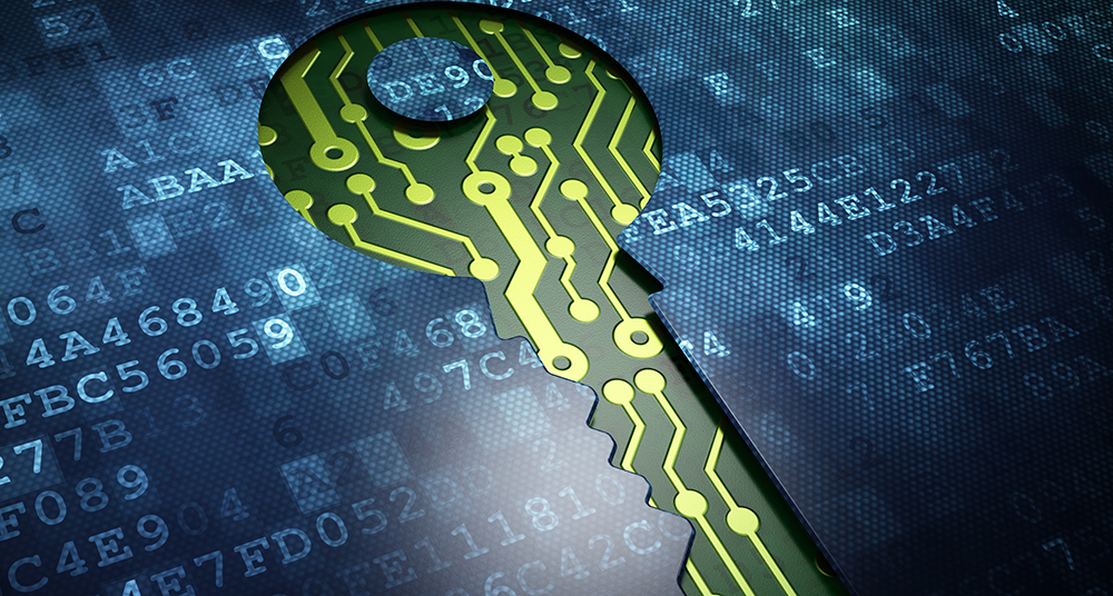 Quantum-Resistant Encryption: The Future of Data Security